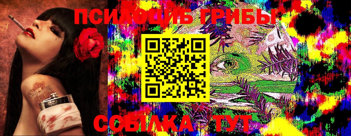Кизляр  Галлюциногенные грибы GOLDEN TEACHER  Вход с VPN 